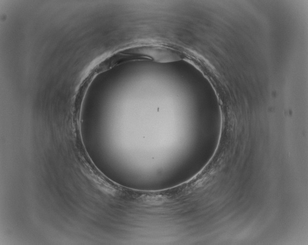 X0000071961168200607141427