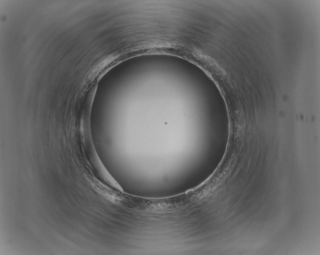 X0000071961169200607141427