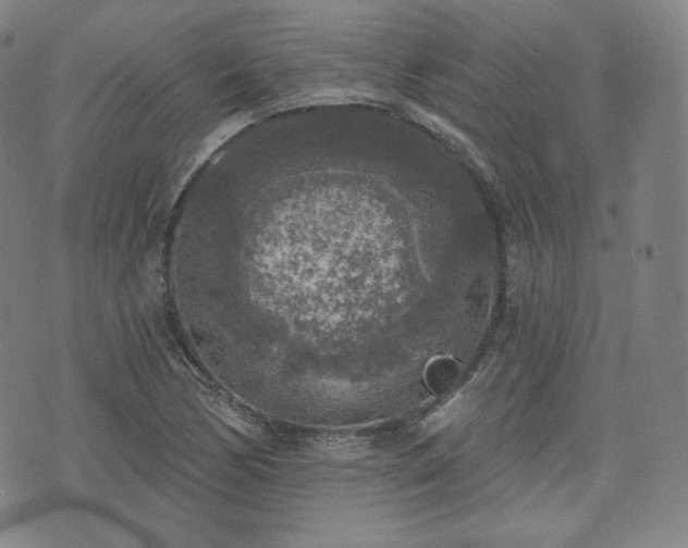 X0000071961170200607141427