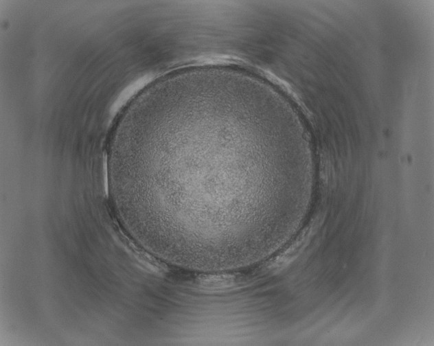 X0000071961171200607141427