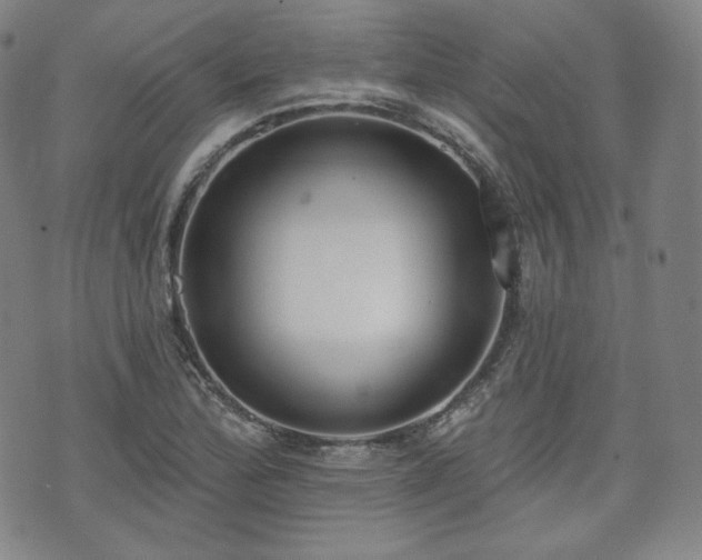 X0000071961172200607141427