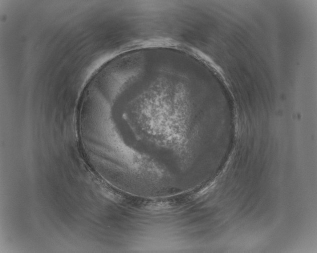 X0000071961174200607141427