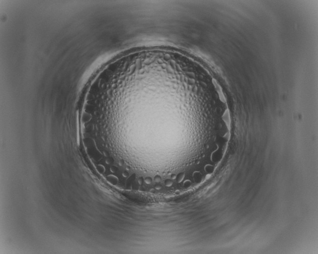 X0000071961175200607141427