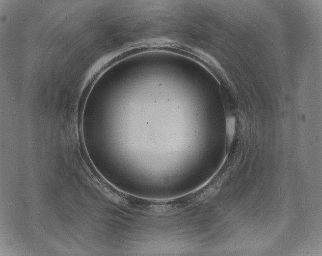 X0000071961176200607141427