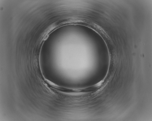 X0000071961177200607141427