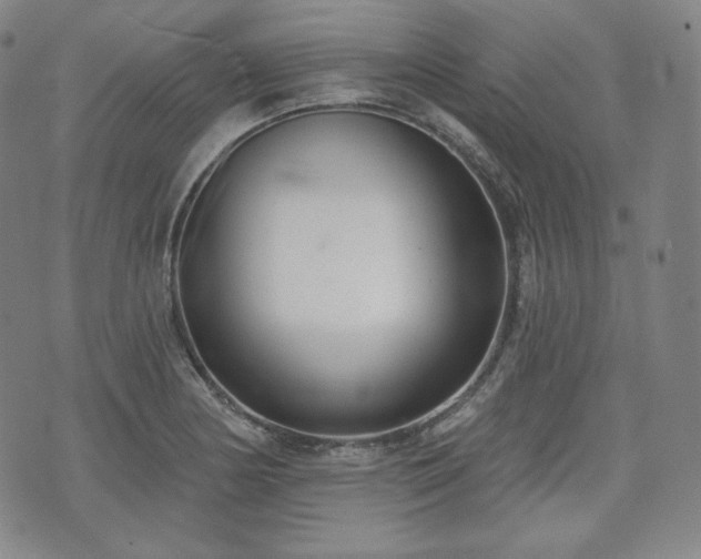 X0000071961178200607141427