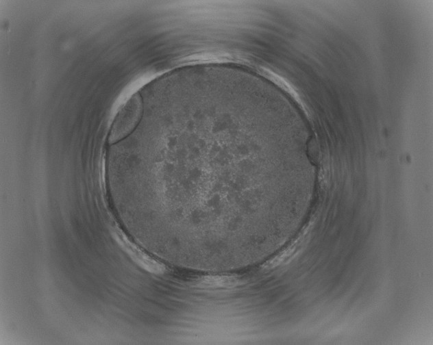 X0000071961179200607141427