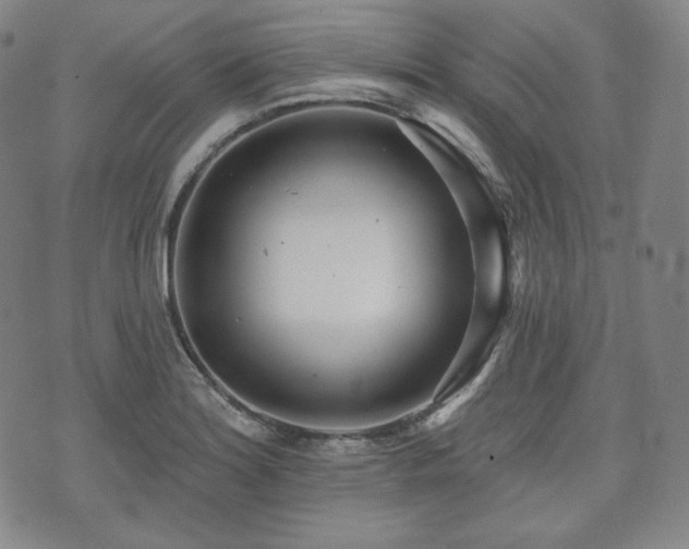 X0000071961180200607141427