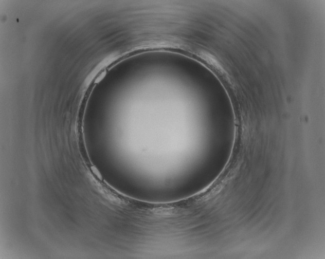 X0000071961181200607141427