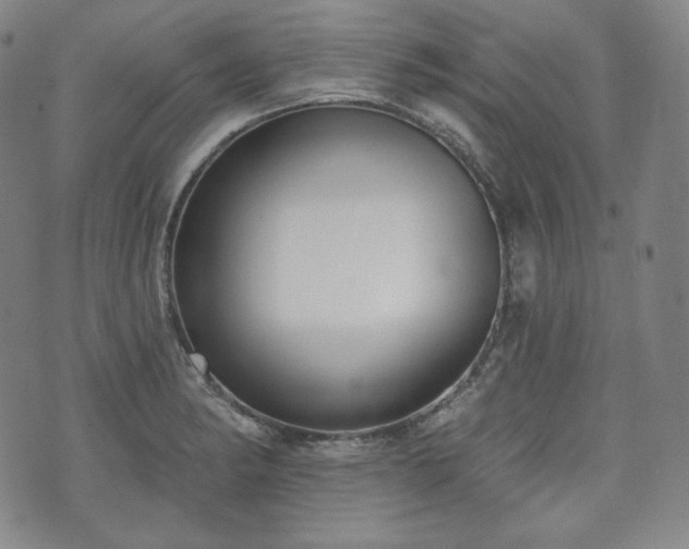 X0000071961182200607141427