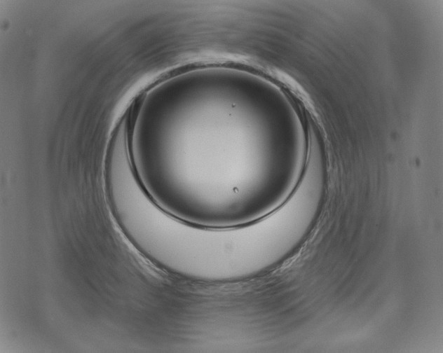 X0000071961183200607141427