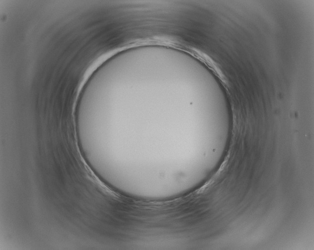 X0000071961184200607141427