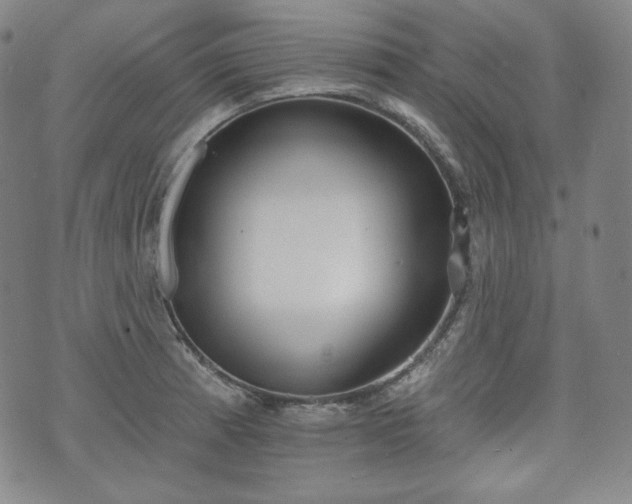 X0000071961185200607141427