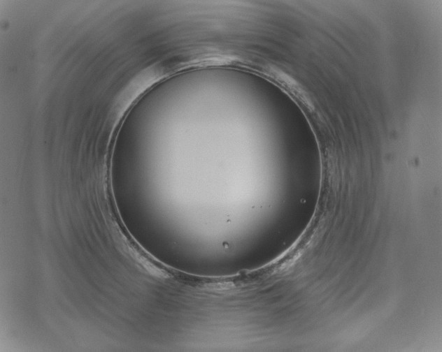 X0000071961186200607141427