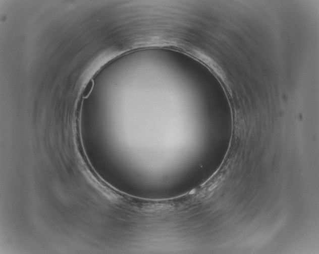 X0000071961187200607141427