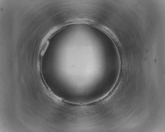 X0000071961188200607141427