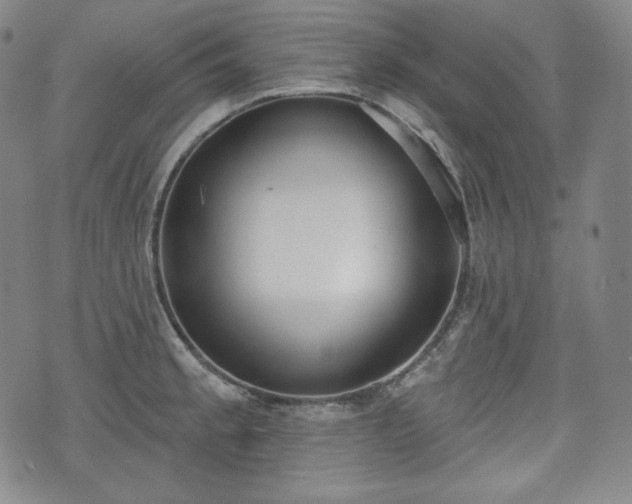 X0000071961189200607141427