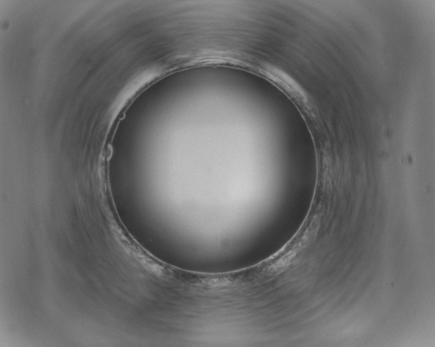 X0000071961190200607141427