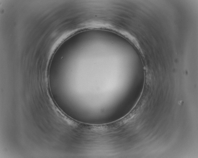 X0000071961191200607141426