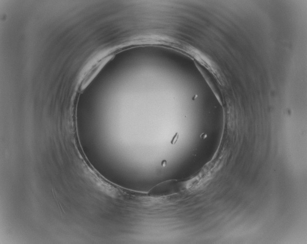 X0000071961192200607141426