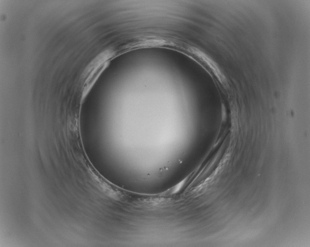 X0000071961193200607141426