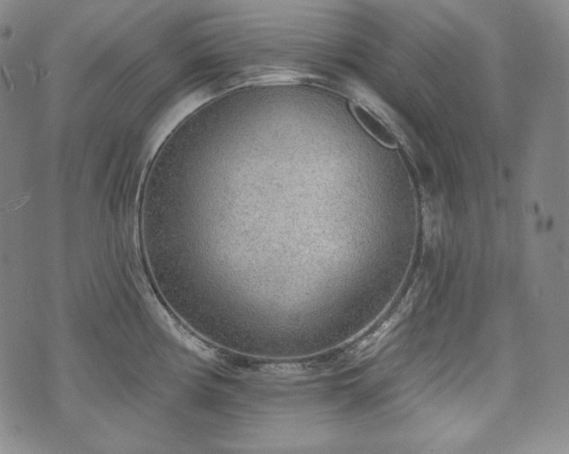 X0000071961194200607141426