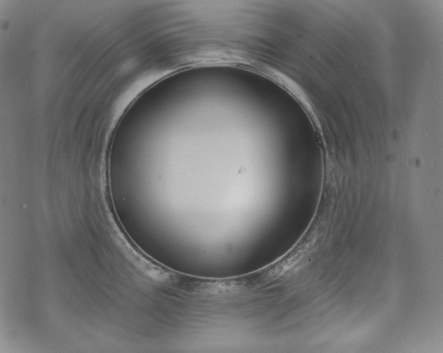 X0000071961195200607141426