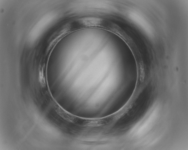 X0000071961198200607141426