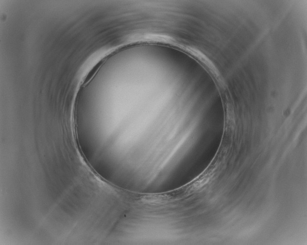 X0000071961199200607141426