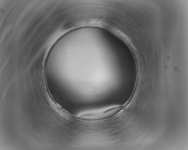 X0000071961200200607141426