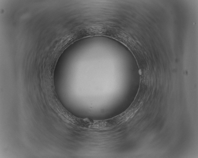 X0000071961201200607141426