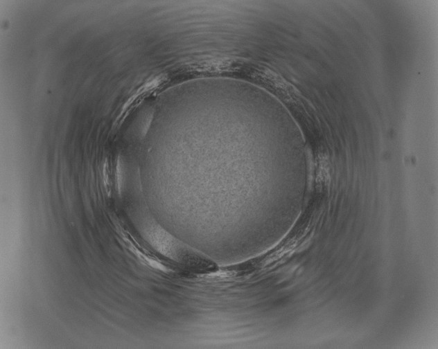 X0000071961202200607141426