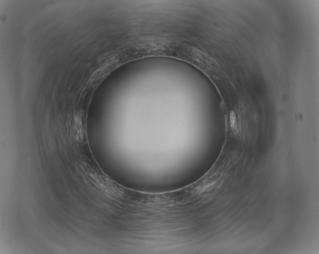 X0000071961203200607141426