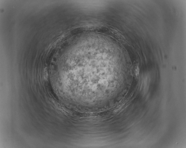 X0000071961204200607141426