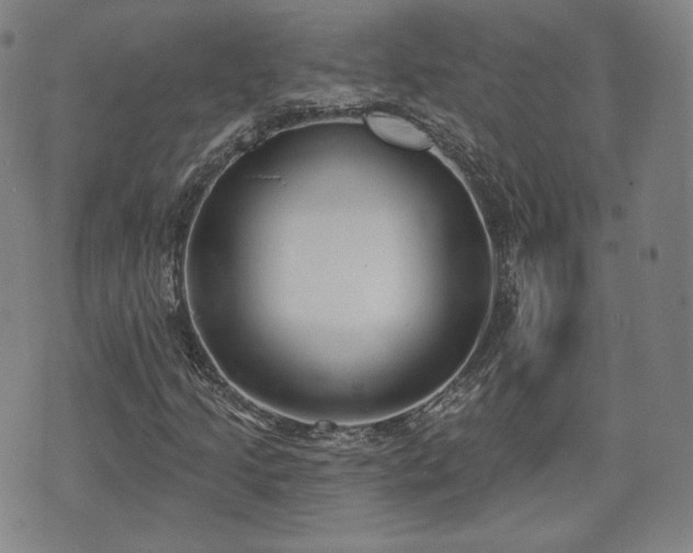 X0000071961205200607141426