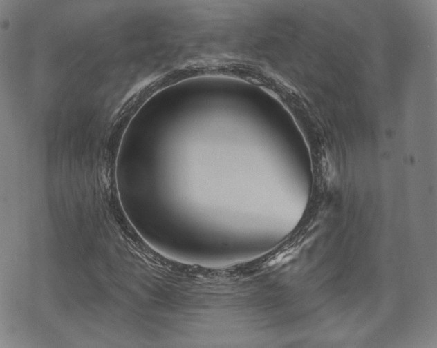 X0000071961206200607141426