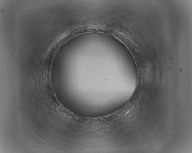 X0000071961207200607141426