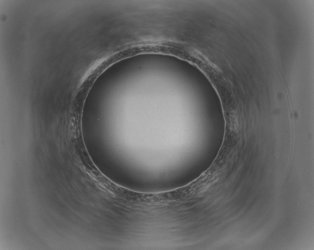 X0000071961208200607141426