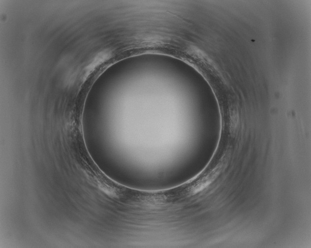 X0000071961210200607141426