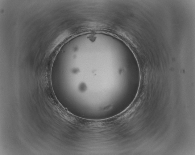 X0000071961211200607141426