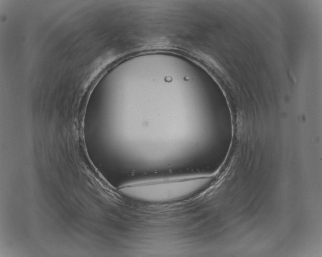 X0000071961212200607141426