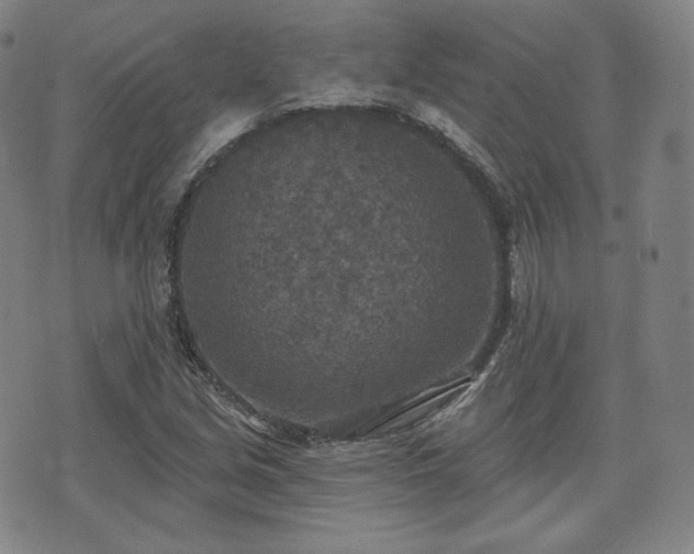 X0000071961213200607141426