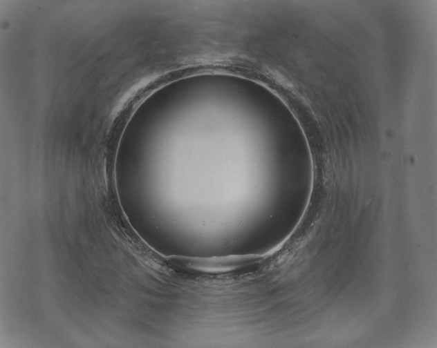 X0000071961214200607141426