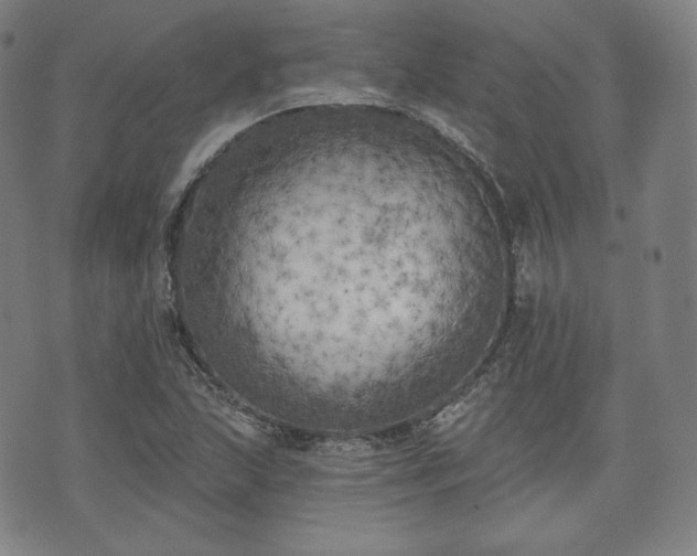 X0000071961215200607141426