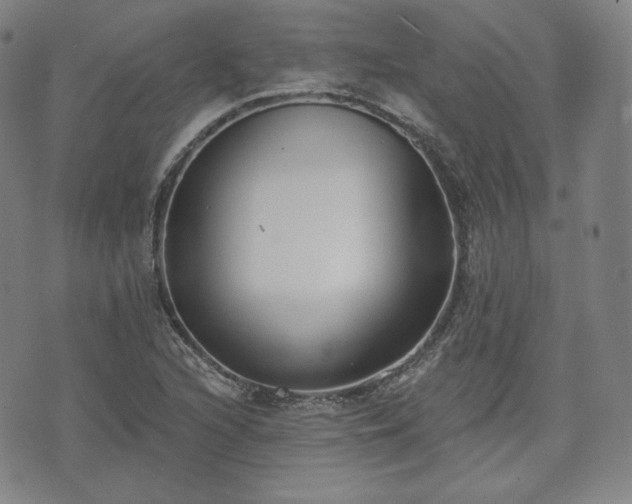 X0000071961216200607141426