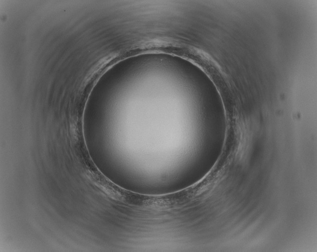 X0000071961217200607141426