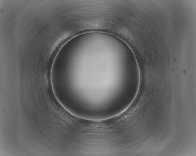 X0000071961218200607141426