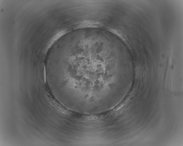 X0000071961219200607141426