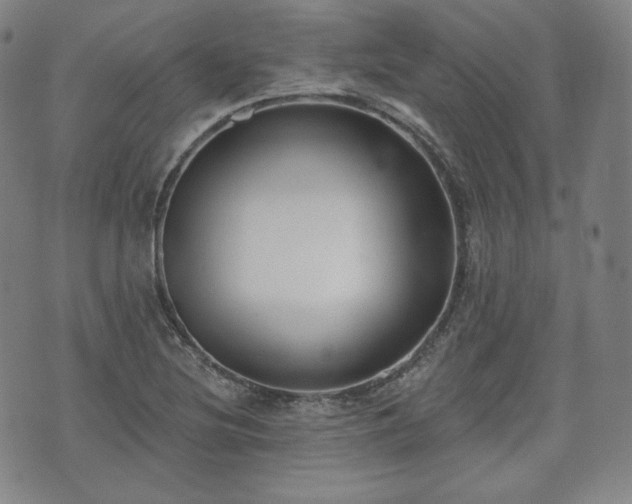 X0000071961220200607141426