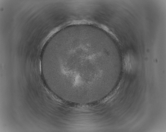 X0000071961221200607141426